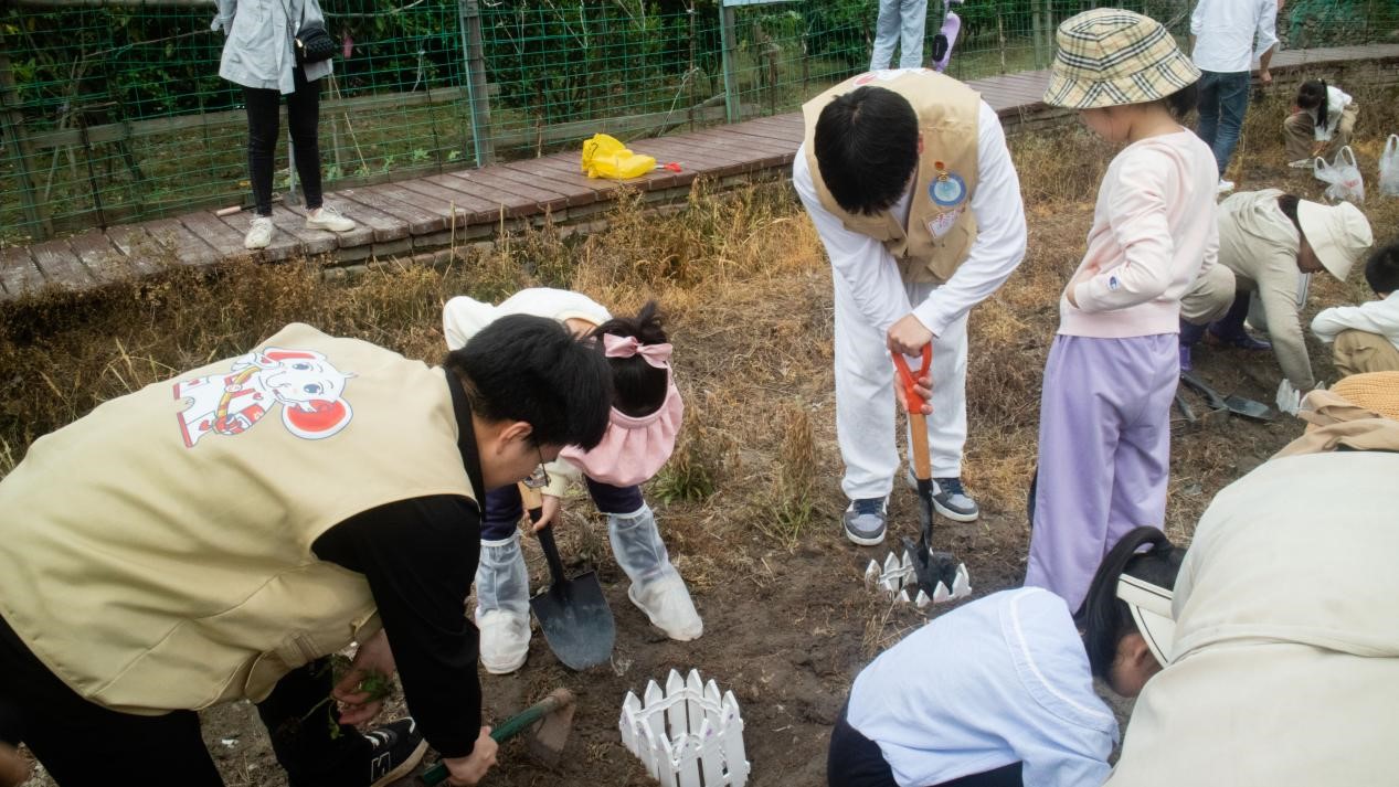 图片46.jpg 图片46.jpg