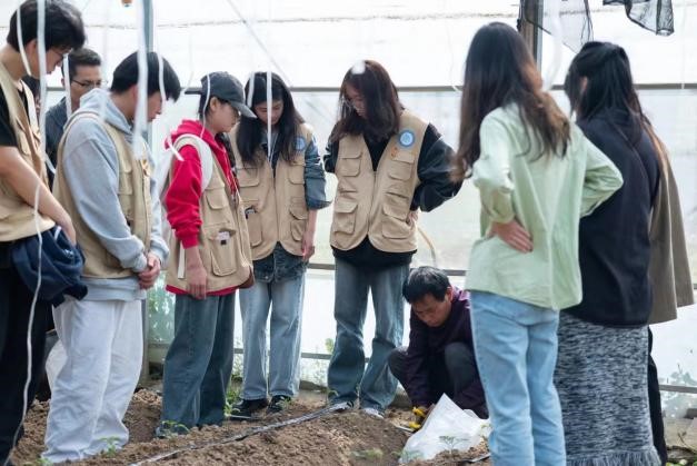 图片33.jpg 图片33.jpg