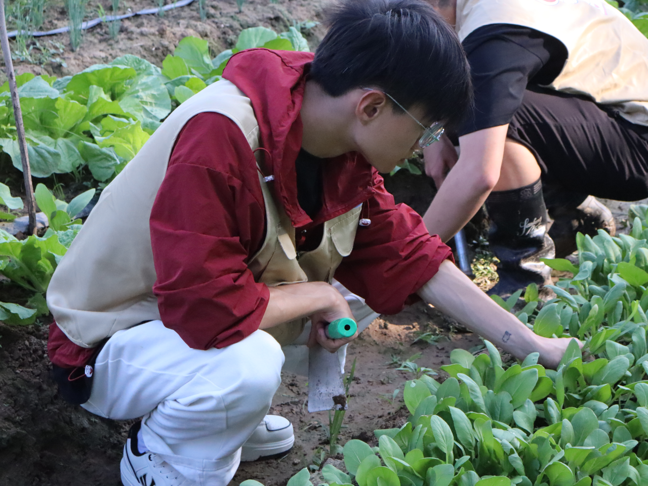 微信图片_2025-11-03_135242_633.png 微信图片_2025-11-03_135242_633.png