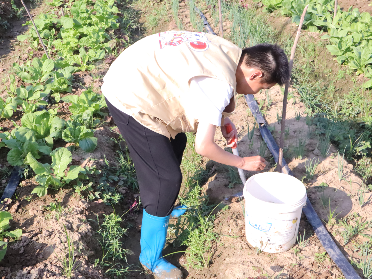 微信图片_2025-11-03_135552_683.png 微信图片_2025-11-03_135552_683.png