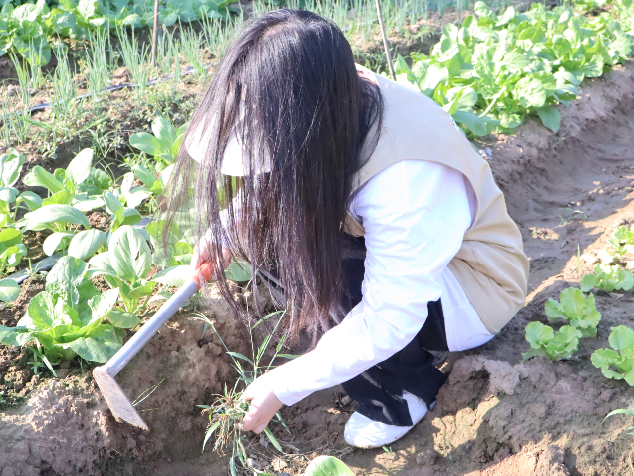 微信图片_2025-11-03_135600_777.png 微信图片_2025-11-03_135600_777.png