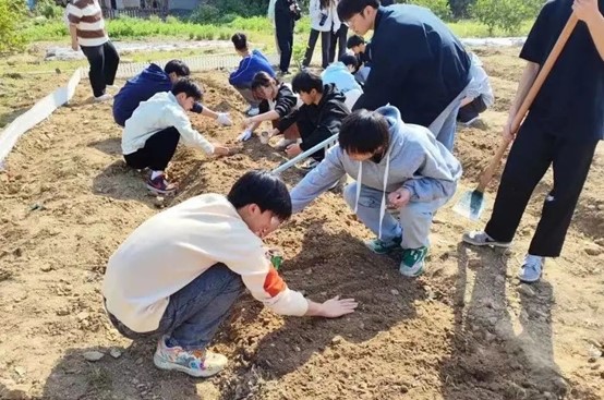 图片11.jpg 图片11.jpg