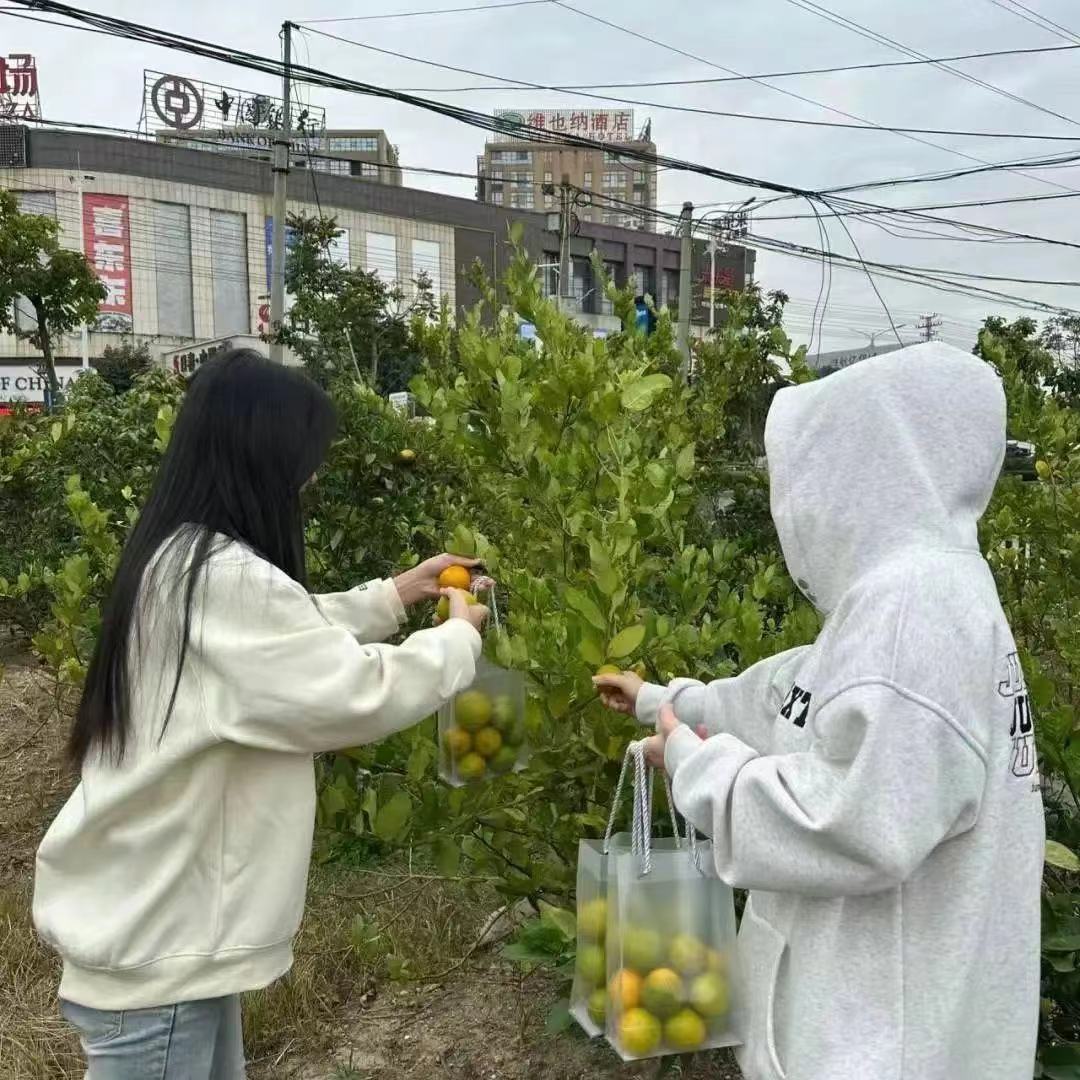 微信图片_20231231215425.jpg 微信图片_20231231215425.jpg