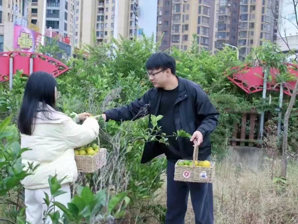 微信图片_20231231220304.jpg 微信图片_20231231220304.jpg