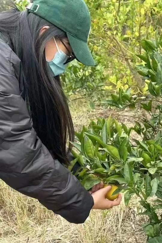 微信图片_20231231215401.jpg 微信图片_20231231215401.jpg