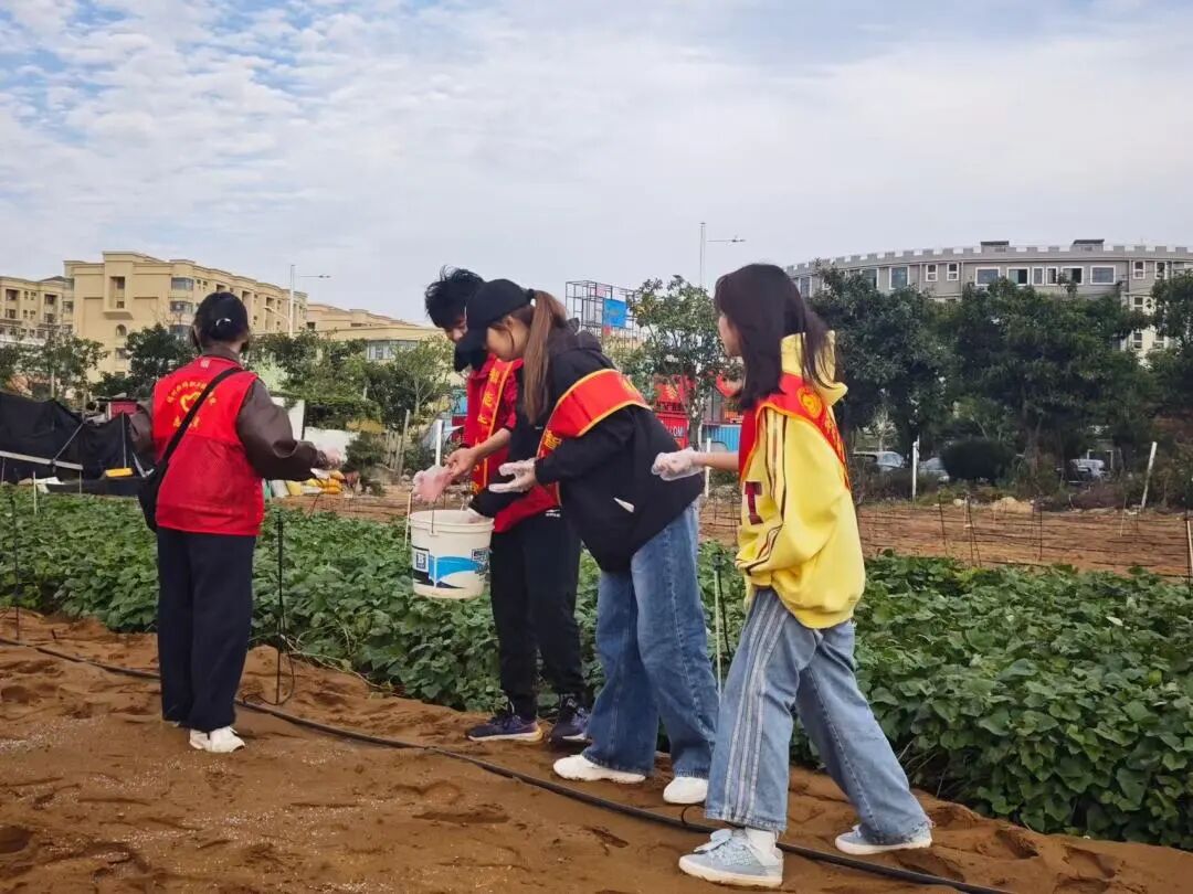 微信图片_2025-11-26_144521_254.jpg 微信图片_2025-11-26_144521_254.jpg