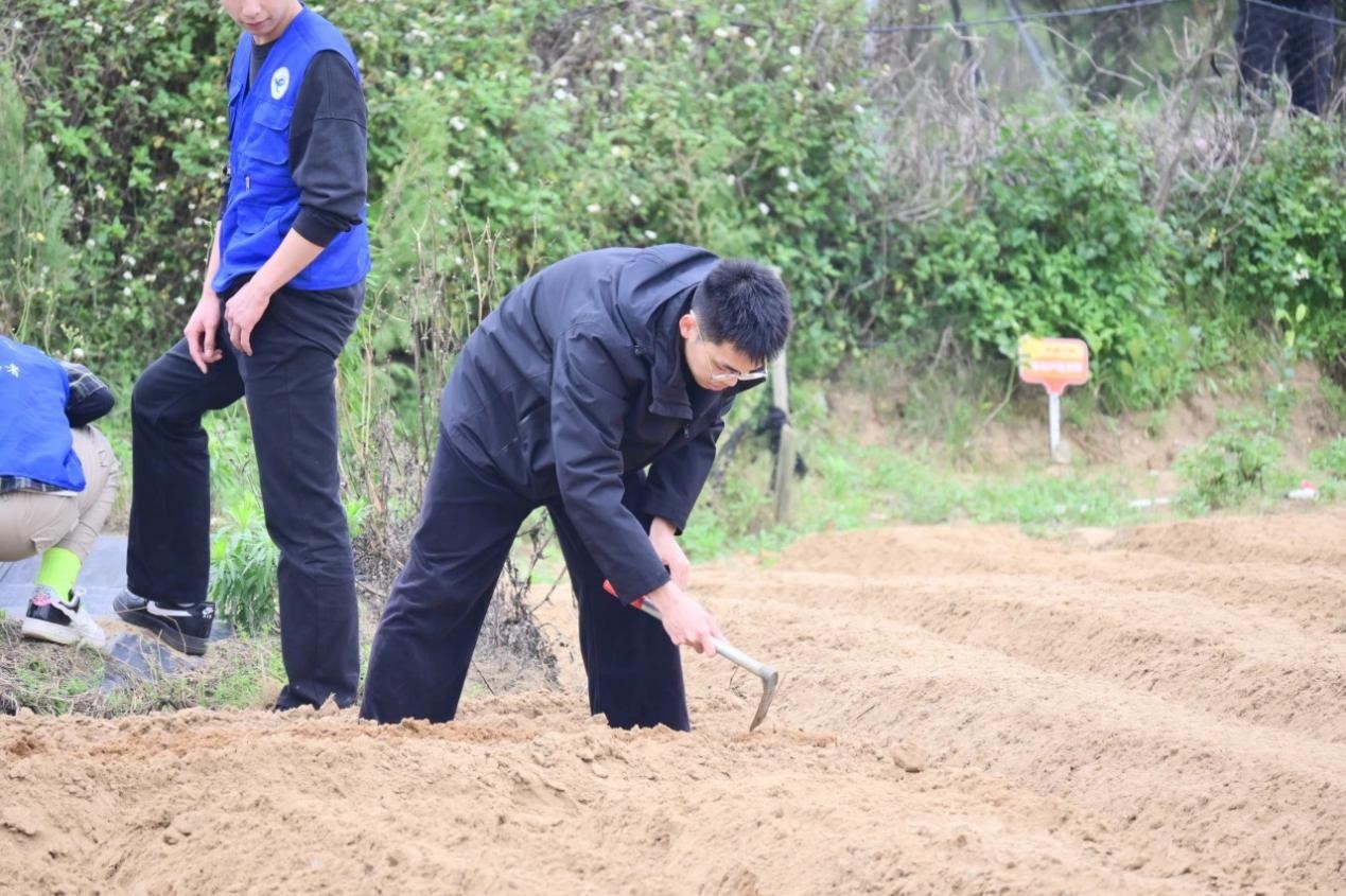 图片11.jpg 图片11.jpg