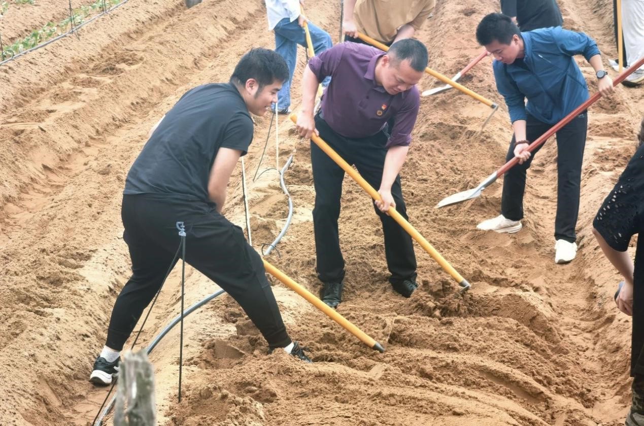 图片9.jpg 图片9.jpg