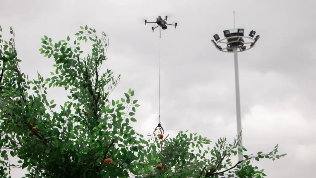 微信图片_2025-11-17_233218_577.jpg 微信图片_2025-11-17_233218_577.jpg