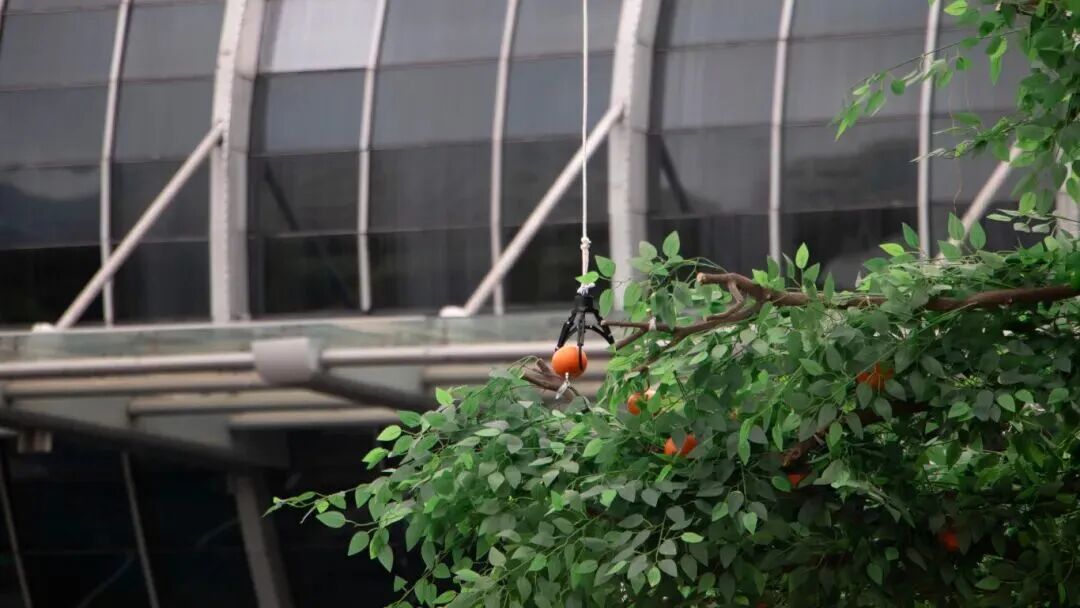 微信图片_2025-11-17_233212_670.jpg 微信图片_2025-11-17_233212_670.jpg