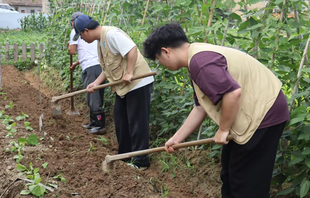 微信图片_20250610180519.png 微信图片_20250610180519.png