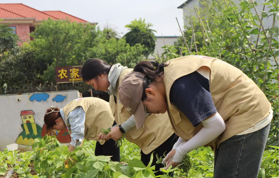 微信图片_20250610180509.png 微信图片_20250610180509.png