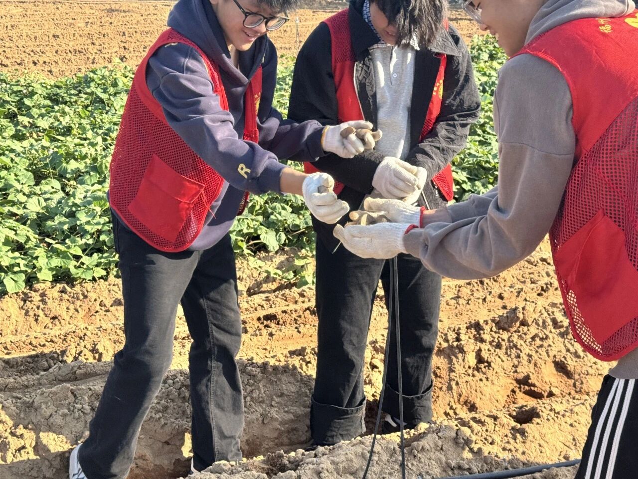 微信图片_2025-11-27_174829_536.jpg 微信图片_2025-11-27_174829_536.jpg