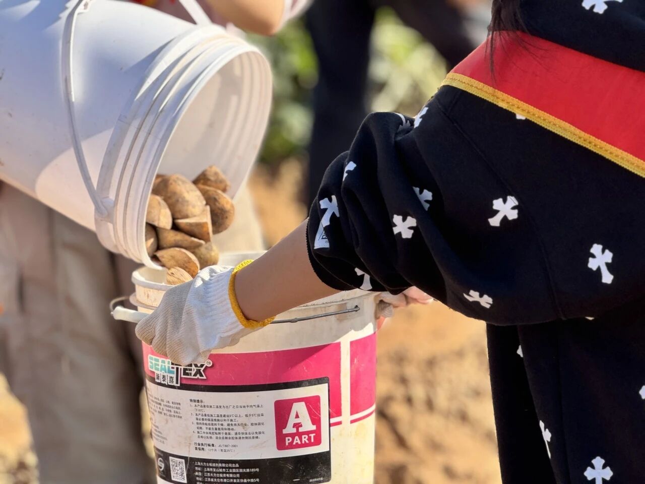 微信图片_2025-11-27_174812_283.jpg 微信图片_2025-11-27_174812_283.jpg