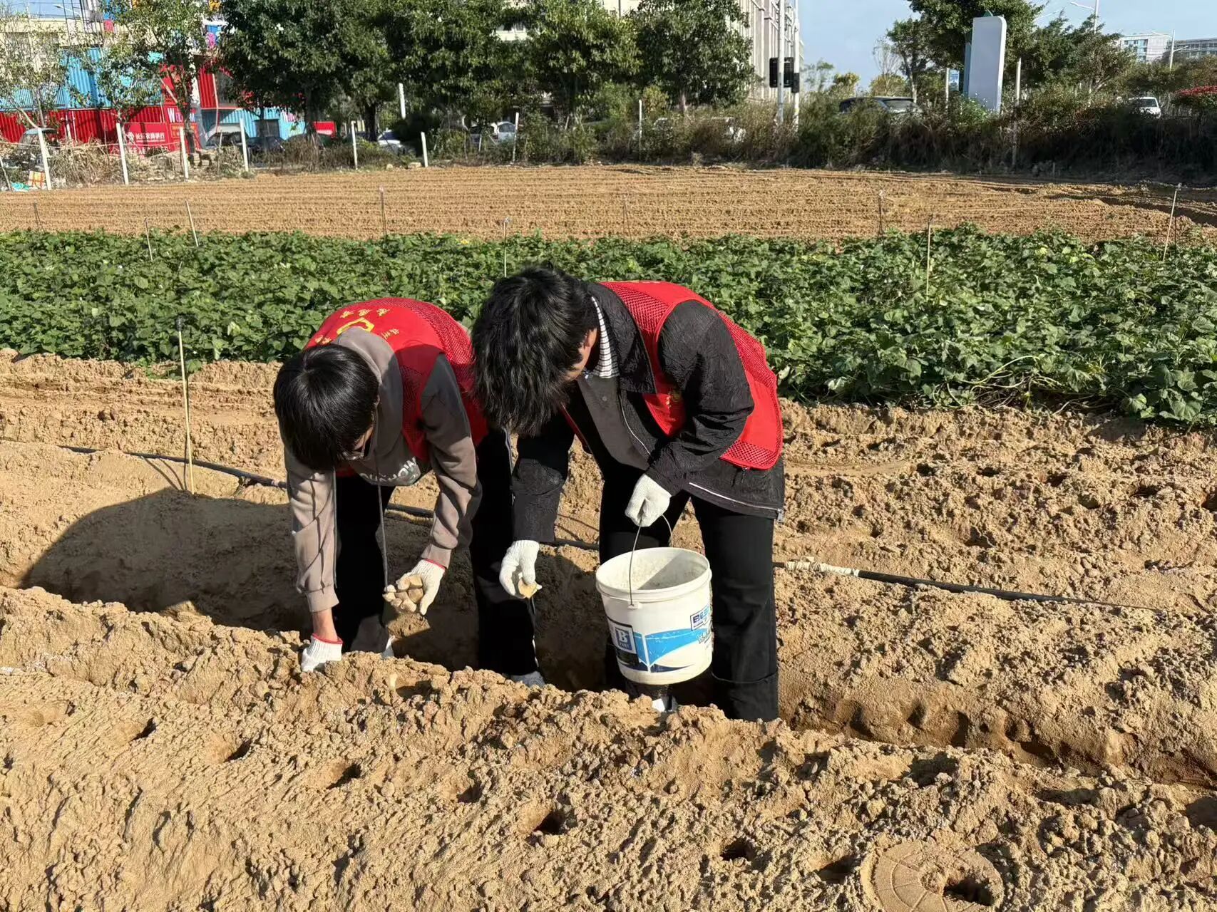 微信图片_2025-11-27_174839_983.jpg 微信图片_2025-11-27_174839_983.jpg