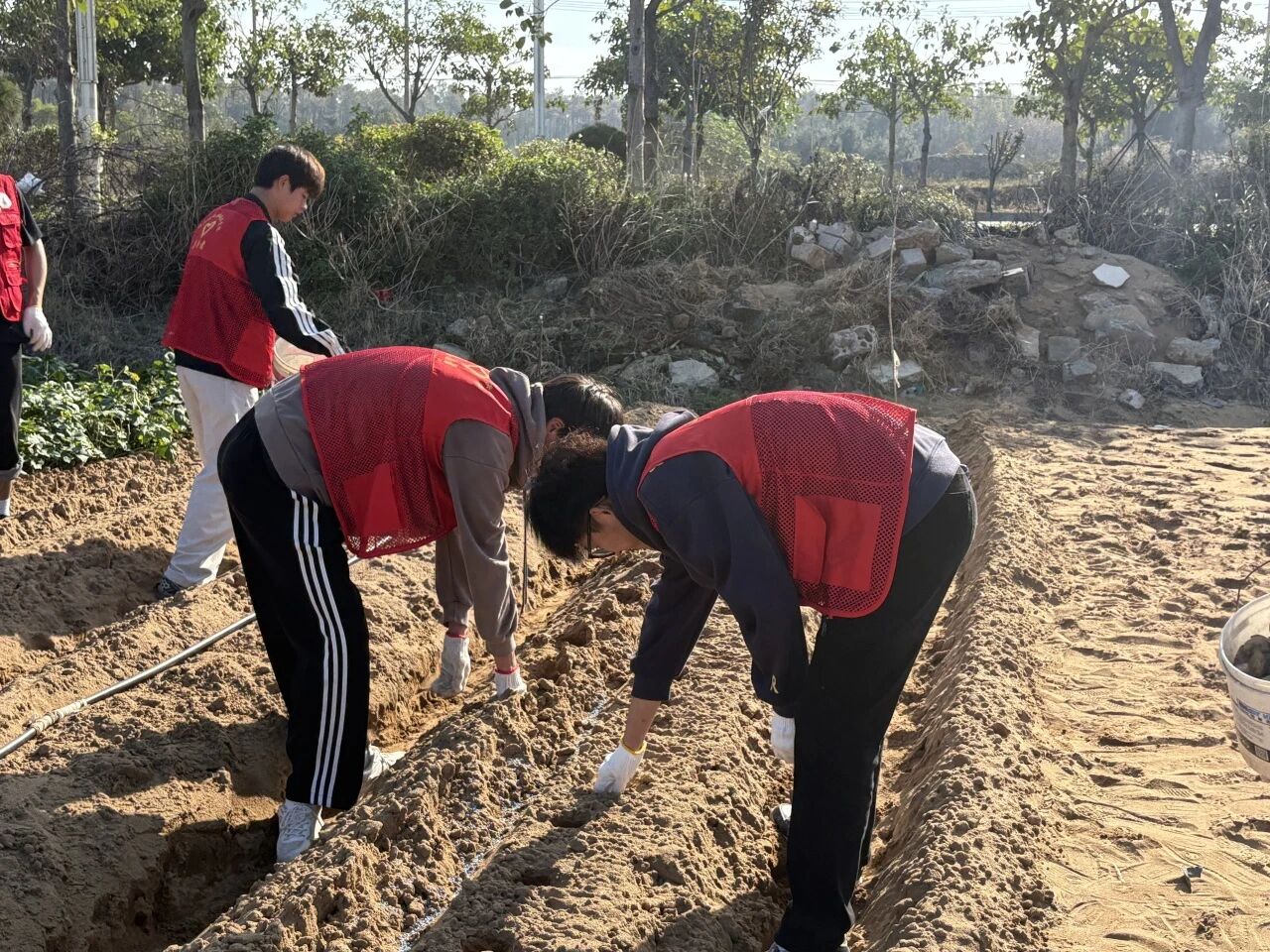 微信图片_2025-11-27_174836_427.jpg 微信图片_2025-11-27_174836_427.jpg