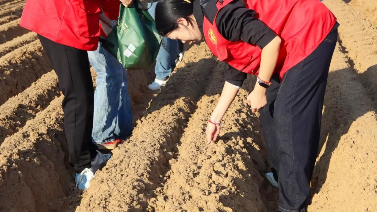 微信图片_2025-11-28_010558_909.jpg 微信图片_2025-11-28_010558_909.jpg