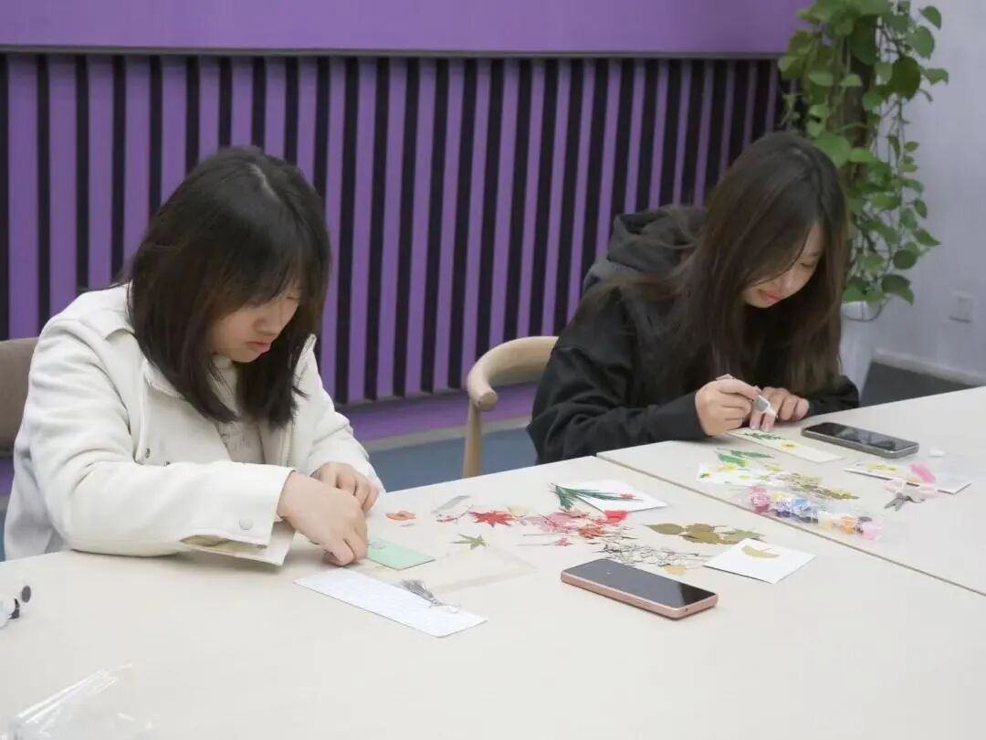 微信图片_2025-11-28_010103_446.jpg 微信图片_2025-11-28_010103_446.jpg