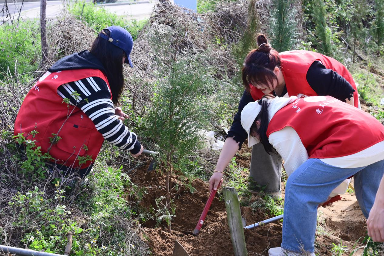 微信图片_20240425202800.png 微信图片_20240425202800.png