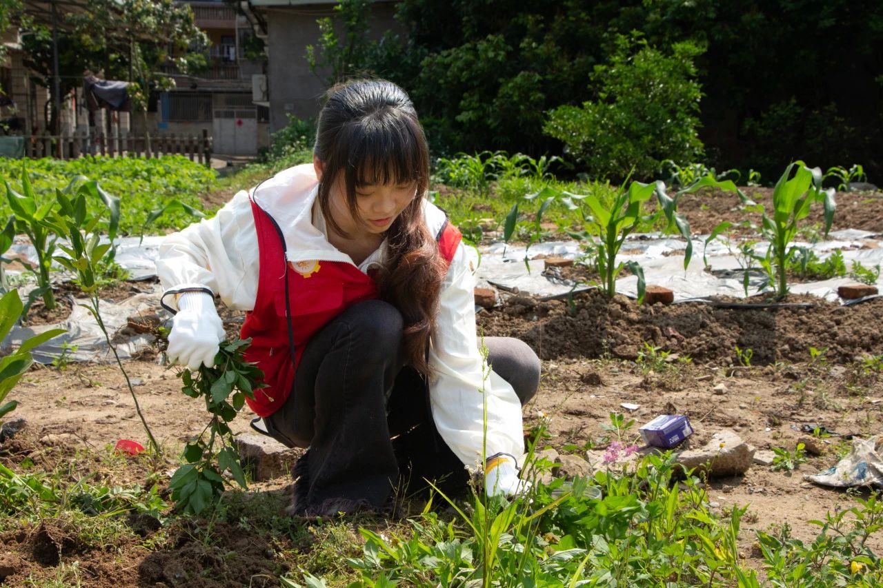 微信图片_20250508171609.jpg 微信图片_20250508171609.jpg