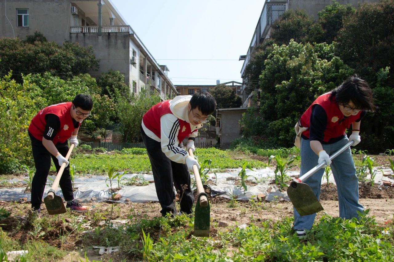 微信图片_20250508171559.jpg 微信图片_20250508171559.jpg